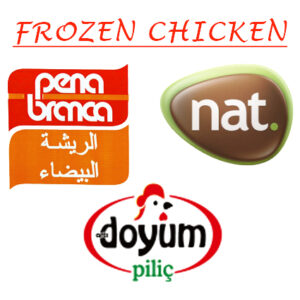 Frozen Chicken Logo